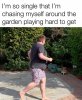 garden.jpg