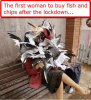 upload_2020-4-30_17-50-23.png