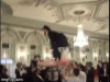 giphy (5).gif