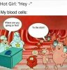cartoon-hot-girl-hey-my-blood-cells-where-are-you-going-so-fast-to-the-dick.jpeg.jpg