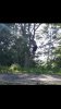 Screenshot_20200529-085606_Gallery.jpg