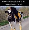 horses.jpg