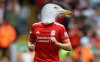 gull back.jpg