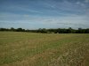 WP_000058-W800.jpg