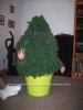 a-shrubthe-best-spy-costume-ever-12-21577072.jpg