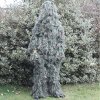 ghillie5.JPG