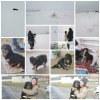 FB_IMG_1590608582848.jpg