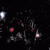 BlandGranularAmethystgemclam-max-1mb.gif