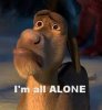 201c6b2e825667ac3bf2e471a6bf9a5b--shrek-donkey-sad-faces.jpg