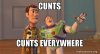 cunts-cunts-everywhere-1t902i.jpg