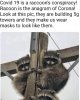 322623B5-B296-4AD8-94B6-B1A642246CB0.jpeg