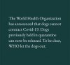 WHO let the dogs out.jpg