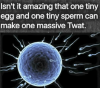 20200726_112847.png
