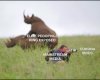 C5E64E04-F029-4865-B070-ACA295625303.jpeg