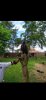 Screenshot_2020-08-02-14-36-53-341_com.alensw.PicFolder.jpg