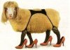 Emotional-Support-Sheep-banned.jpg