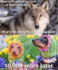 1597339688982.png