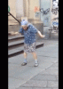 91e388f1ef87b4e48e71bb74f853a59e.gif