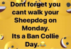 upload_2020-8-29_12-46-41.png