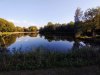 IMG_20200910_180606360s.jpg