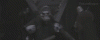 SoulfulPhonyAustralianfreshwatercrocodile-size_restricted.gif