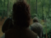 ClassicPresentFlee-small.gif