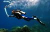 2000-summer-olympics-sydney-torch-relay-underwater-scuba-great-barrier-reaf.jpg