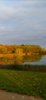 Screenshot_20201016_081029_com.android.gallery3d.jpg