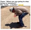 turtle..jpg
