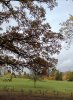 IMG_20201023_141836.jpg