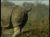 200 (1).gif
