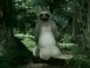 tenor (5).gif