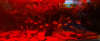 upload_2020-11-3_22-13-4.png