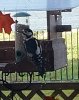IMG-20201128-WA0000.jpg