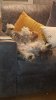 IMG-20201128-WA0001.jpeg