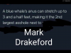 Screenshot_20201221-194317.png