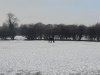 20201228_115859.jpg
