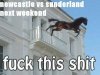 Horse.jpg