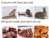 warm.jpg