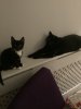 02953228-18BC-48CC-A7A9-45B4B75CA6F4.jpeg