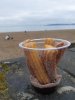 IMG-20210110-WA0003.jpg