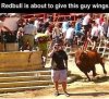 wings.jpg