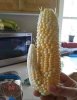 porncob.jpg