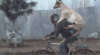 goat4-small3.gif