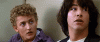 QueasySentimentalBluefish-size_restricted.gif