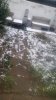 20210209_075535.jpg