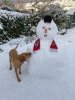 Snowman.jpg