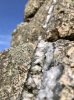 4B001336-2DF7-4CC5-9514-95C017E4D500.jpeg