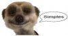 simples.jpg