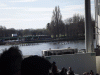 Crews on the river at Fulham.gif
